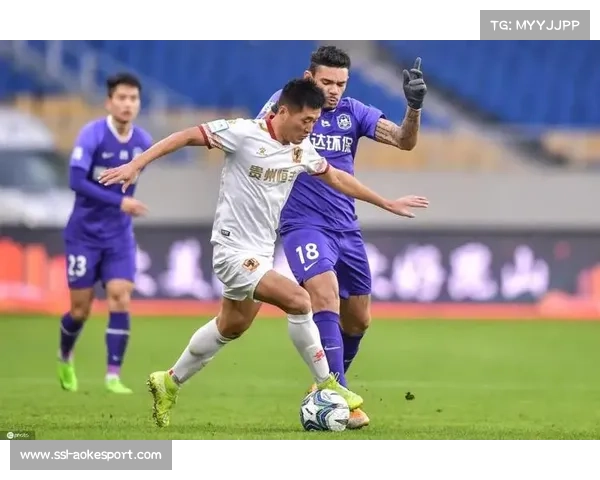 海南联赛外援政策持续创新,包容理念助推竞技水平提升 海南联赛外援政策持续创新,包容理念助推竞技水平提升